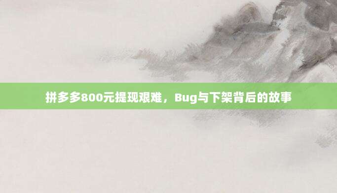 拼多多800元提现艰难,Bug与下架背后的故事-第1张图片-拼多多助力 拼多多800元提现艰难,Bug与下架背后的故事-第1张图片-拼多多助力