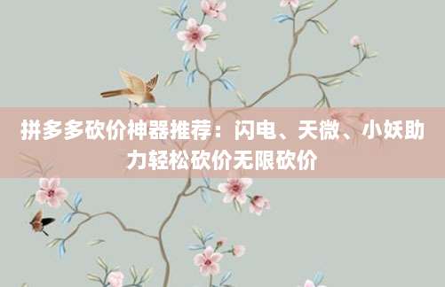 拼多多砍价神器推荐:闪电、天微、小妖助力轻松砍价无限砍价-第1张图片-拼多多助力 拼多多砍价神器推荐:闪电、天微、小妖助力轻松砍价无限砍价-第1张图片-拼多多助力