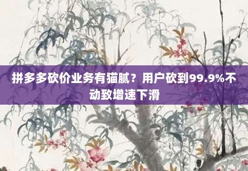 拼多多砍价业务有猫腻?用户砍到99.9%不动致增速下滑-第1张图片-拼多多助力 拼多多砍价业务有猫腻?用户砍到99.9%不动致增速下滑-第1张图片-拼多多助力