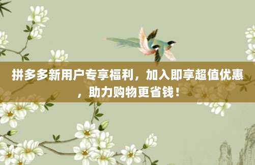 拼多多新用户专享福利，加入即享超值优惠，助力购物更省钱！-第1张图片-拼多多助力
