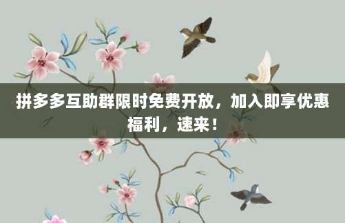 拼多多互助群限时免费开放，加入即享优惠福利，速来！-第1张图片-拼多多助力
