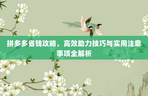 拼多多省钱攻略，高效助力技巧与实用注意事项全解析-第1张图片-拼多多助力