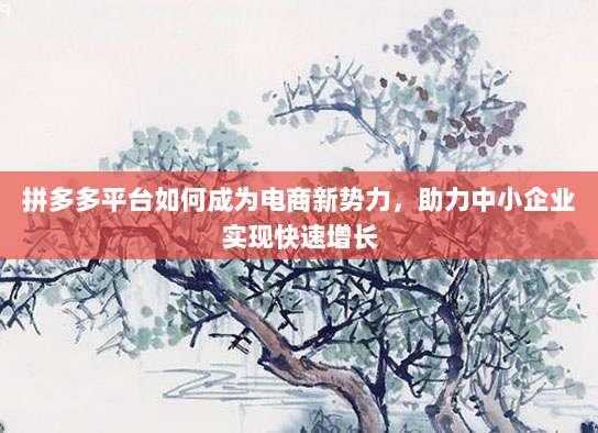 拼多多平台如何成为电商新势力,助力中小企业实现快速增长-第1张图片-拼多多助力 拼多多平台如何成为电商新势力,助力中小企业实现快速增长-第1张图片-拼多多助力