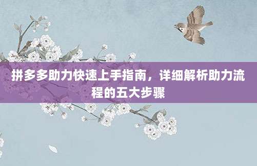 拼多多助力快速上手指南,详细解析助力流程的五大步骤-第1张图片-拼多多助力 拼多多助力快速上手指南,详细解析助力流程的五大步骤-第1张图片-拼多多助力