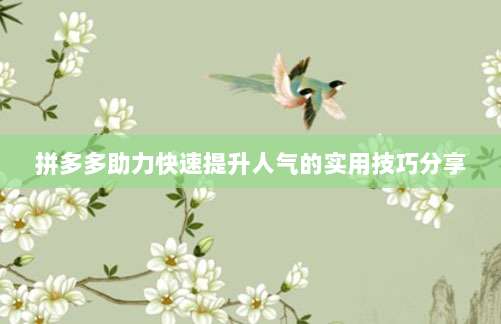 拼多多助力快速提升人气的实用技巧分享-第1张图片-拼多多助力 拼多多助力快速提升人气的实用技巧分享-第1张图片-拼多多助力