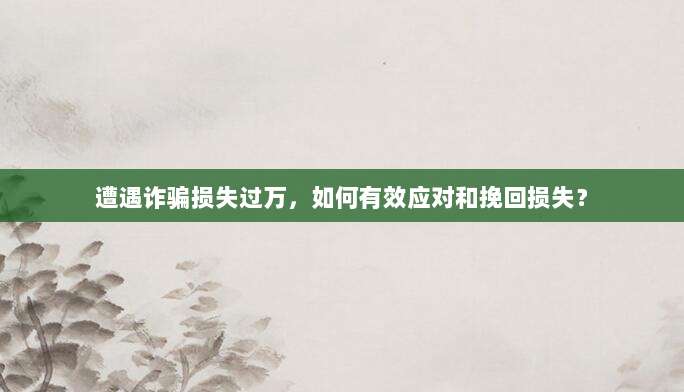 遭遇诈骗损失过万，如何有效应对和挽回损失？-第1张图片-拼多多助力