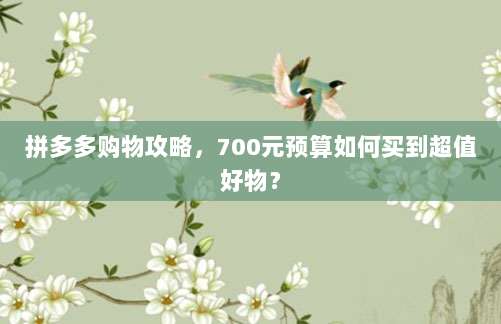 拼多多购物攻略,700元预算如何买到超值好物?-第1张图片-拼多多助力 拼多多购物攻略,700元预算如何买到超值好物?-第1张图片-拼多多助力