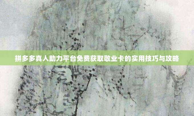 拼多多真人助力平台免费获取敬业卡的实用技巧与攻略-第1张图片-拼多多助力