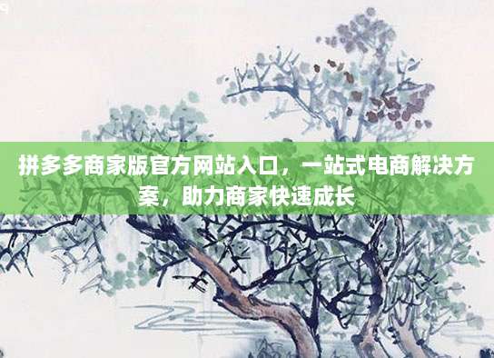 拼多多商家版官方网站入口,一站式电商解决方案,助力商家快速成长-第1张图片-拼多多助力 拼多多商家版官方网站入口,一站式电商解决方案,助力商家快速成长-第1张图片-拼多多助力