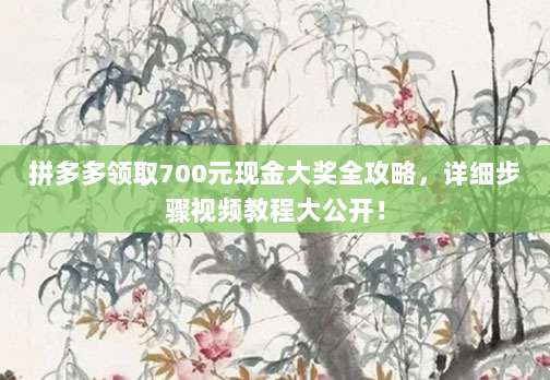 拼多多领取700元现金大奖全攻略,详细步骤视频教程大公开!-第1张图片-拼多多助力 拼多多领取700元现金大奖全攻略,详细步骤视频教程大公开!-第1张图片-拼多多助力