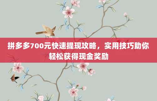 拼多多700元快速提现攻略，实用技巧助你轻松获得现金奖励-第1张图片-拼多多助力