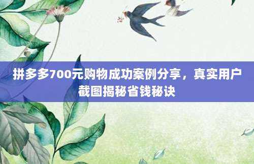 拼多多700元购物成功案例分享，真实用户截图揭秘省钱秘诀-第1张图片-拼多多助力