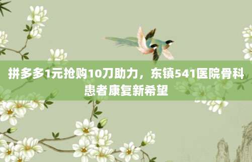 拼多多1元抢购10刀助力,东镇541医院骨科患者康复新希望-第1张图片-拼多多助力 拼多多1元抢购10刀助力,东镇541医院骨科患者康复新希望-第1张图片-拼多多助力