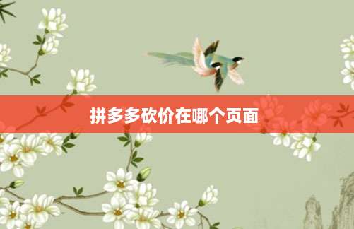 拼多多砍价在哪个页面 -第1张图片-拼多多助力 拼多多砍价在哪个页面 -第1张图片-拼多多助力