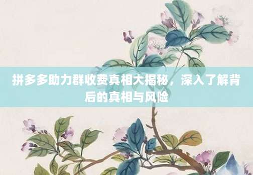 拼多多助力群收费真相大揭秘，深入了解背后的真相与风险-第1张图片-拼多多助力