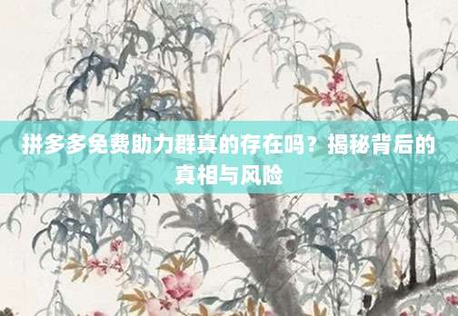 拼多多免费助力群真的存在吗？揭秘背后的真相与风险-第1张图片-拼多多助力