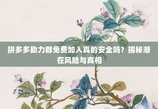 拼多多助力群免费加入真的安全吗？揭秘潜在风险与真相-第1张图片-拼多多助力