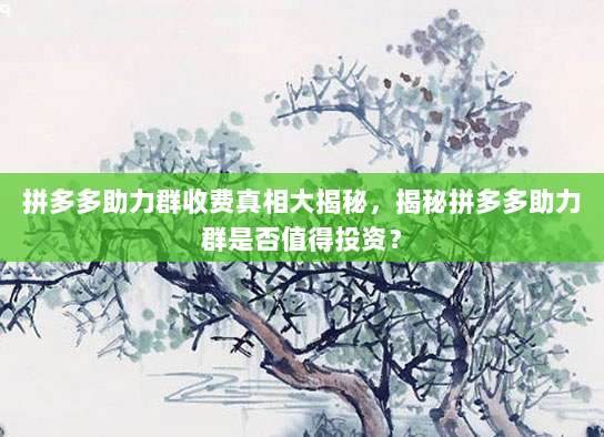 拼多多助力群收费真相大揭秘,揭秘拼多多助力群是否值得投资?-第1张图片-拼多多助力 拼多多助力群收费真相大揭秘,揭秘拼多多助力群是否值得投资?-第1张图片-拼多多助力