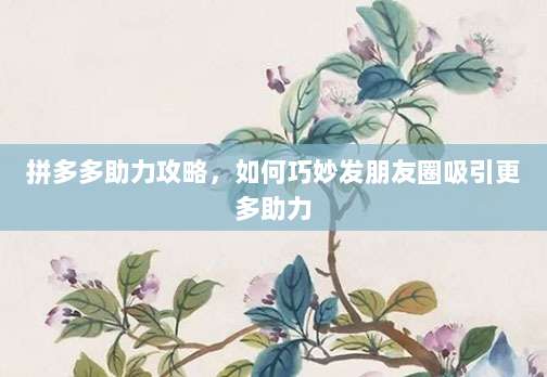 拼多多助力攻略,如何巧妙发朋友圈吸引更多助力-第1张图片-拼多多助力 拼多多助力攻略,如何巧妙发朋友圈吸引更多助力-第1张图片-拼多多助力
