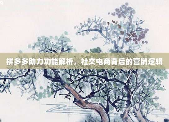 拼多多助力功能解析,社交电商背后的营销逻辑-第1张图片-拼多多助力 拼多多助力功能解析,社交电商背后的营销逻辑-第1张图片-拼多多助力