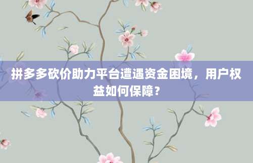 拼多多砍价助力平台遭遇资金困境,用户权益如何保障?-第1张图片-拼多多助力 拼多多砍价助力平台遭遇资金困境,用户权益如何保障?-第1张图片-拼多多助力