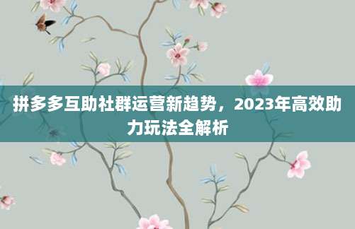 拼多多互助社群运营新趋势,2023年高效助力玩法全解析-第1张图片-拼多多助力 拼多多互助社群运营新趋势,2023年高效助力玩法全解析-第1张图片-拼多多助力