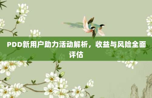 PDD新用户助力活动解析,收益与风险全面评估-第1张图片-拼多多助力 PDD新用户助力活动解析,收益与风险全面评估-第1张图片-拼多多助力