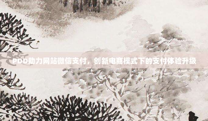 PDD助力网站微信支付,创新电商模式下的支付体验升级-第1张图片-拼多多助力 PDD助力网站微信支付,创新电商模式下的支付体验升级-第1张图片-拼多多助力