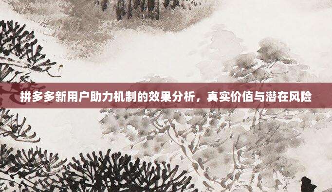 拼多多新用户助力机制的效果分析,真实价值与潜在风险-第1张图片-拼多多助力 拼多多新用户助力机制的效果分析,真实价值与潜在风险-第1张图片-拼多多助力