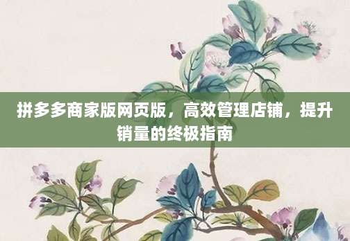 拼多多商家版网页版,高效管理店铺,提升销量的终极指南-第1张图片-拼多多助力 拼多多商家版网页版,高效管理店铺,提升销量的终极指南-第1张图片-拼多多助力
