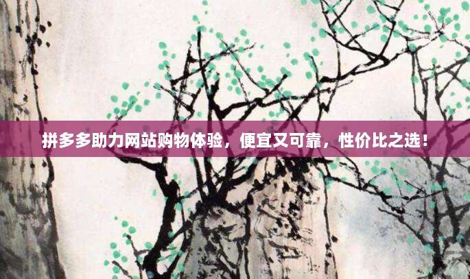 拼多多助力网站购物体验，便宜又可靠，性价比之选！-第1张图片-拼多多助力