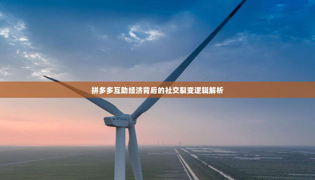 拼多多互助经济背后的社交裂变逻辑解析-第1张图片-拼多多助力