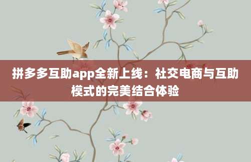 拼多多互助app全新上线:社交电商与互助模式的完美结合体验-第1张图片-拼多多助力 拼多多互助app全新上线:社交电商与互助模式的完美结合体验-第1张图片-拼多多助力