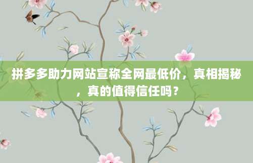 拼多多助力网站宣称全网最低价，真相揭秘，真的值得信任吗？-第1张图片-拼多多助力