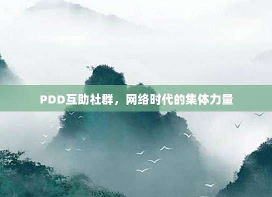 PDD互助社群,网络时代的集体力量-第1张图片-拼多多助力 PDD互助社群,网络时代的集体力量-第1张图片-拼多多助力