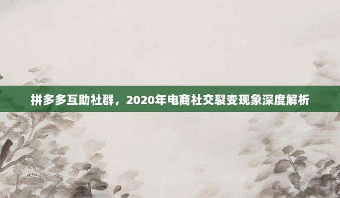 拼多多互助社群,2020年电商社交裂变现象深度解析-第1张图片-拼多多助力 拼多多互助社群,2020年电商社交裂变现象深度解析-第1张图片-拼多多助力
