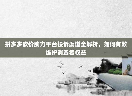 拼多多砍价助力平台投诉渠道全解析,如何有效维护消费者权益-第1张图片-拼多多助力 拼多多砍价助力平台投诉渠道全解析,如何有效维护消费者权益-第1张图片-拼多多助力