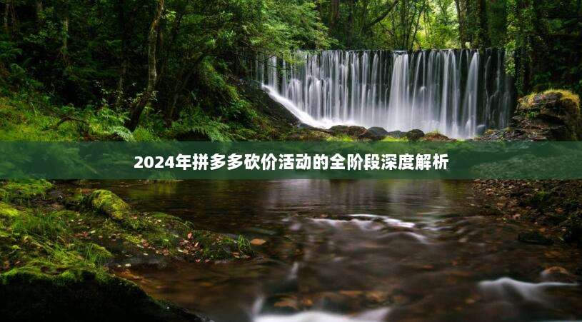 2024年拼多多砍价活动的全阶段深度解析-第1张图片-拼多多助力 2024年拼多多砍价活动的全阶段深度解析-第1张图片-拼多多助力