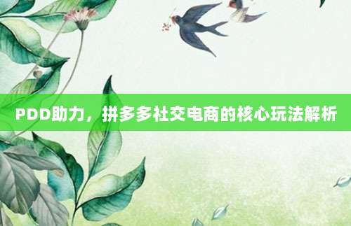 PDD助力，拼多多社交电商的核心玩法解析-第1张图片-拼多多助力