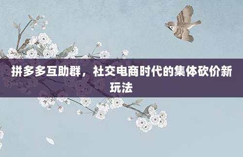 拼多多互助群,社交电商时代的集体砍价新玩法-第1张图片-拼多多助力 拼多多互助群,社交电商时代的集体砍价新玩法-第1张图片-拼多多助力
