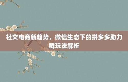 社交电商新趋势,微信生态下的拼多多助力群玩法解析-第1张图片-拼多多助力 社交电商新趋势,微信生态下的拼多多助力群玩法解析-第1张图片-拼多多助力