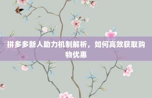 拼多多新人助力机制解析,如何高效获取购物优惠-第1张图片-拼多多助力 拼多多新人助力机制解析,如何高效获取购物优惠-第1张图片-拼多多助力