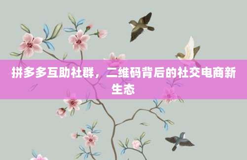 拼多多互助社群,二维码背后的社交电商新生态-第1张图片-拼多多助力 拼多多互助社群,二维码背后的社交电商新生态-第1张图片-拼多多助力