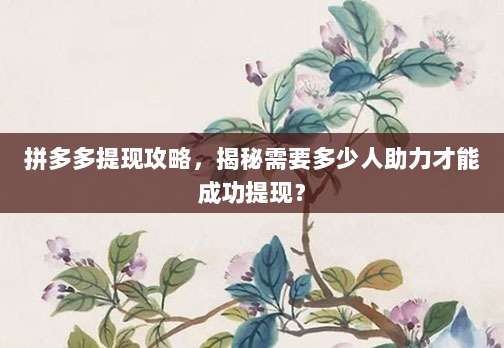 拼多多提现攻略，揭秘需要多少人助力才能成功提现？-第1张图片-拼多多助力