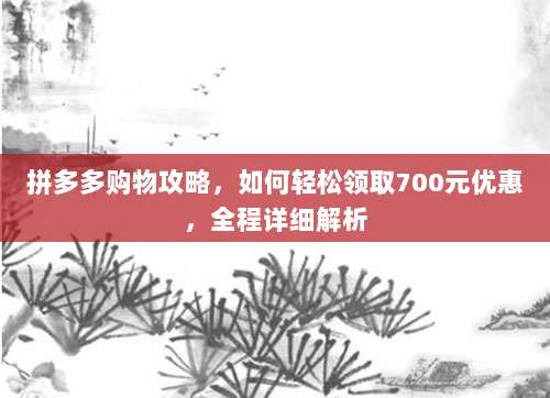 拼多多购物攻略,如何轻松领取700元优惠,全程详细解析-第1张图片-拼多多助力 拼多多购物攻略,如何轻松领取700元优惠,全程详细解析-第1张图片-拼多多助力