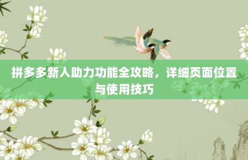 拼多多新人助力功能全攻略,详细页面位置与使用技巧-第1张图片-拼多多助力 拼多多新人助力功能全攻略,详细页面位置与使用技巧-第1张图片-拼多多助力