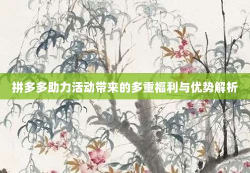 拼多多助力活动带来的多重福利与优势解析-第1张图片-拼多多助力