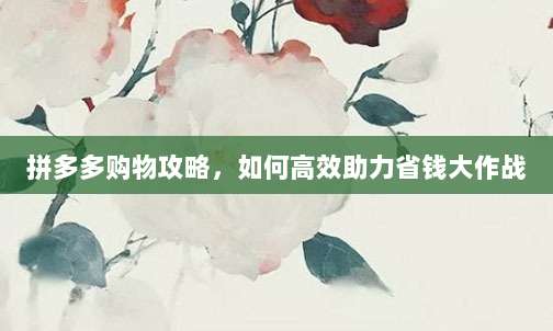 拼多多购物攻略,如何高效助力省钱大作战-第1张图片-拼多多助力 拼多多购物攻略,如何高效助力省钱大作战-第1张图片-拼多多助力
