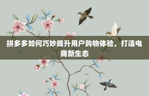 拼多多如何巧妙提升用户购物体验,打造电商新生态-第1张图片-拼多多助力 拼多多如何巧妙提升用户购物体验,打造电商新生态-第1张图片-拼多多助力