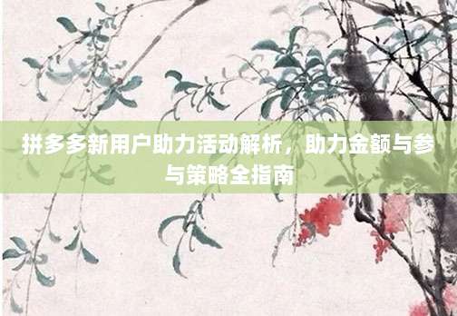 拼多多新用户助力活动解析，助力金额与参与策略全指南-第1张图片-拼多多助力
